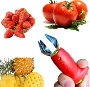 Fruit Corer Remover Peeler