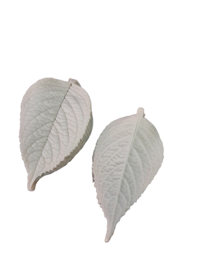 Leaf veiner silicone mould, B