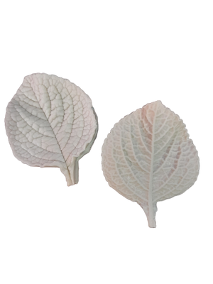 Leaf veiner silicone mould, C