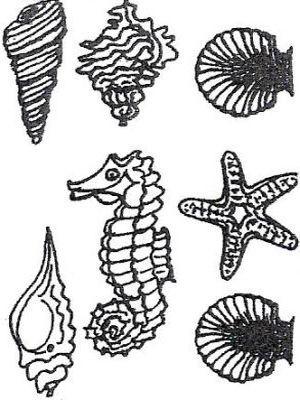 AA29 Hard Plastic Chocolate Mould Shells Under The Sea / Starfish 8x7.5cm / Seahorse 7x3.5cm