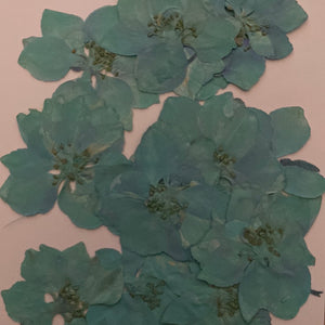 I Resin Art Dry Flowers Turquoise