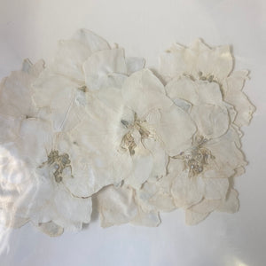 C Resin Art Dry Flowers White