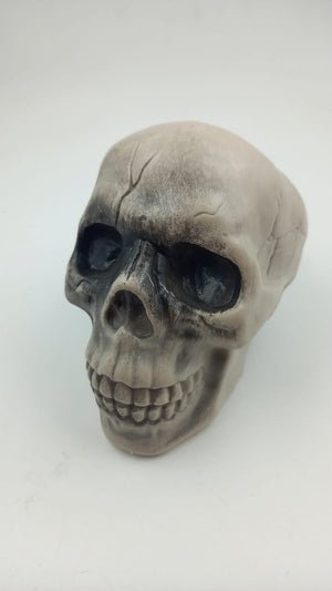 Plastic Skeleton Skull  11cm