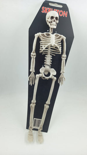 Plastic Skeleton