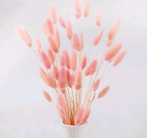 50pc Cake Topper Bunny Tails Peach