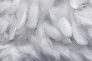 Feathers