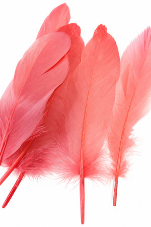 6pc  Coral Pink Feathers
