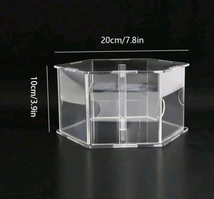 Clear Acrylic Fillable Photo Cake Stand