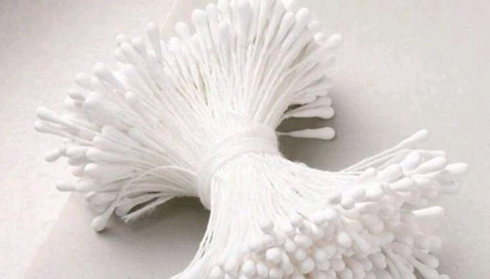 Flower Stamens White