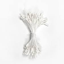 Flower Stamens White