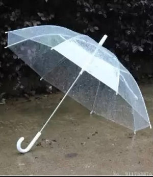 Clear Umbrella