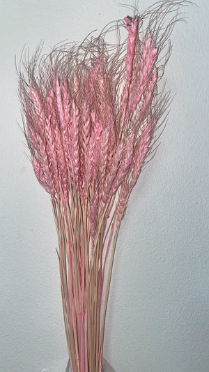Dry Wheat Pink