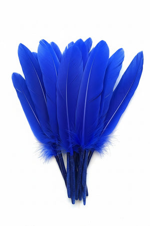 12pc Feather Royal Blue ±14cm