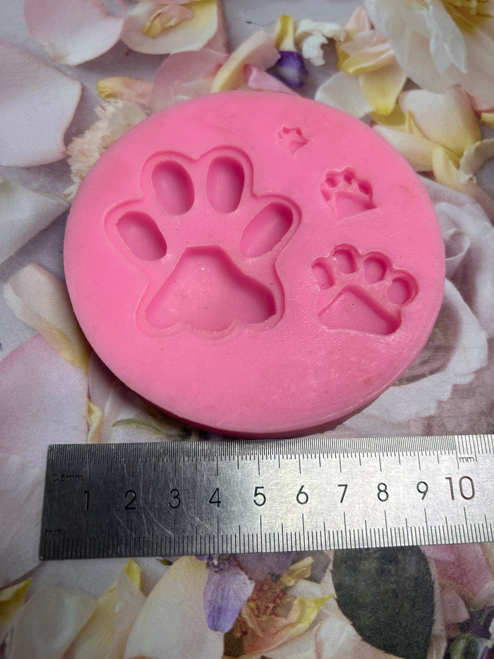 PRE LOVED Silicone Mould Paw