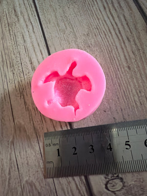 Pre loved mould turtle