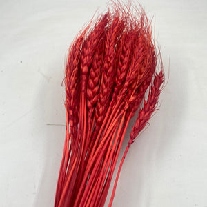 Dry Wheat Red E