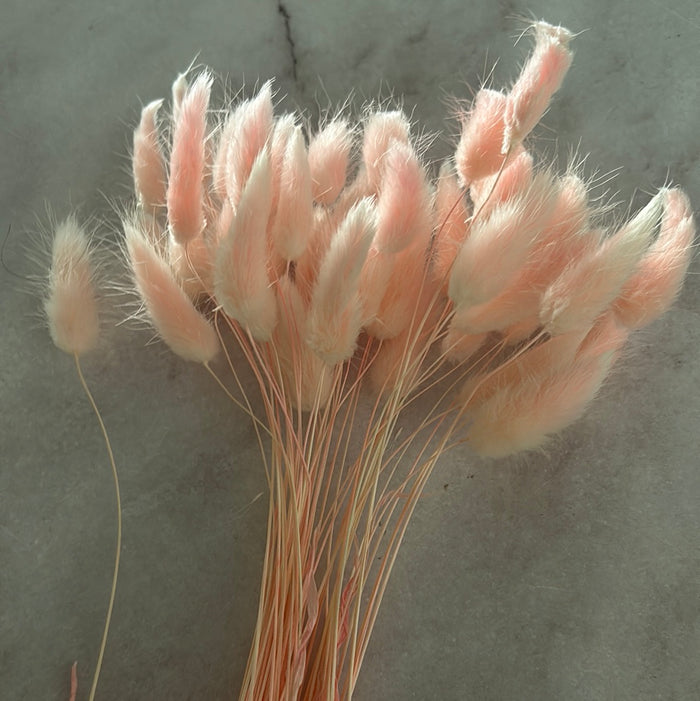 Cake Topper Bunny Tails 1 Stem Pink