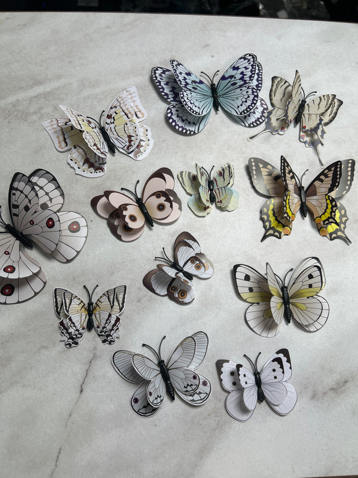 Plastic Butterfly Cake Topper