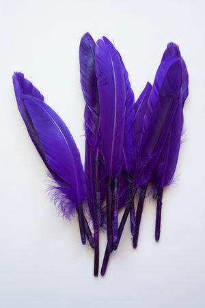 12pc Feather Purple ±14cm