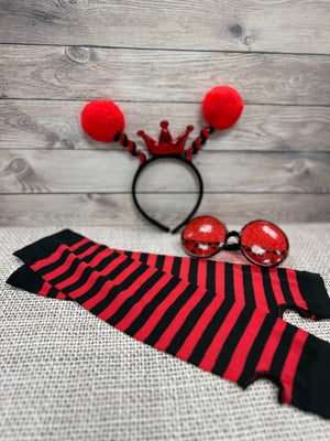 Ladybug Dress up Set