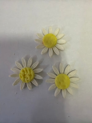 12pc  White Edible Daisies 2cm