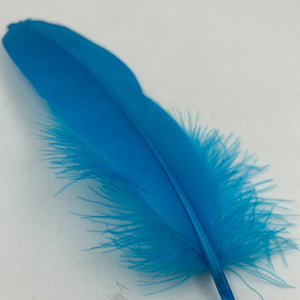 Blue Feathers 10pcs