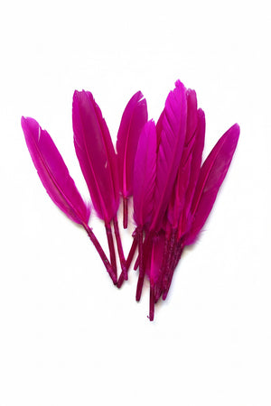 12pc Feather Pink ±14cm