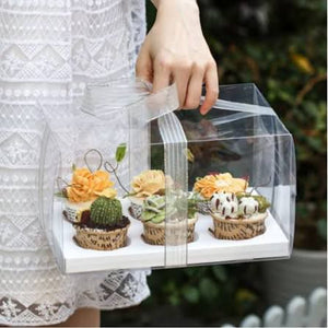 6 Cavity Clear Cupcake Box