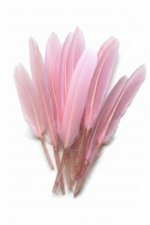 12pc Feather Baby Pink ±14cm