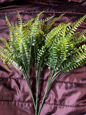 Pre Loved fern leaves