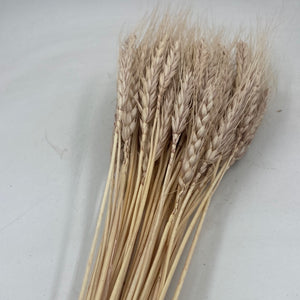 Dry Wheat A