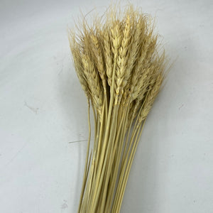 Dry Wheat C