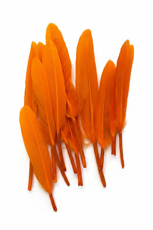 12pc Feather Orange ±14cm