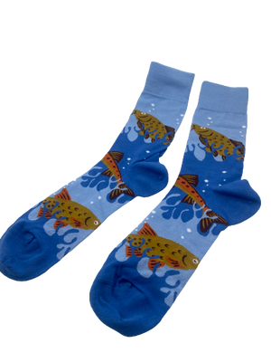 Fish Socks