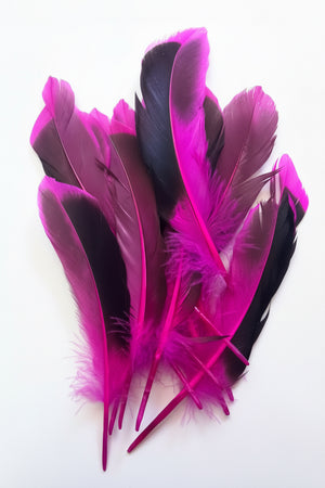 12pc Two Tone Pink and Black Feathers ±14.5cm