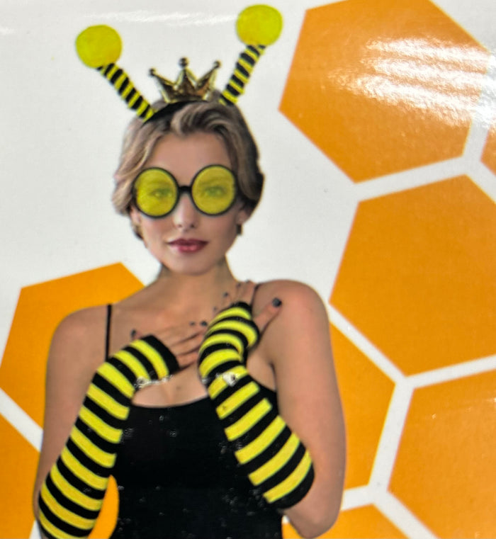 Bee Dress up Set