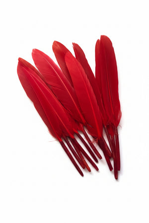 12pc Feather Red ±14cm