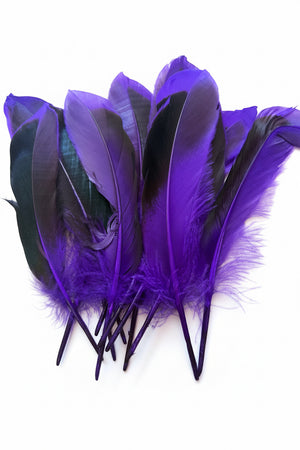 12pc Two Tone Purple and Black Feathers ±14.5cm