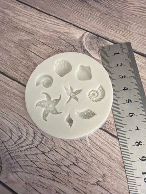 Pre loved mould under sea shells