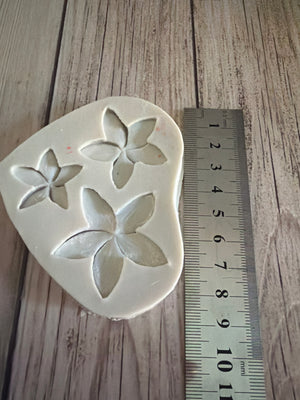 Pre loved mould frangipani