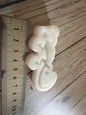 Pre loved mould gecko