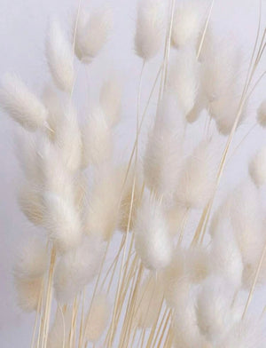 Cake Topper Cream Bunny Tails (5pc)