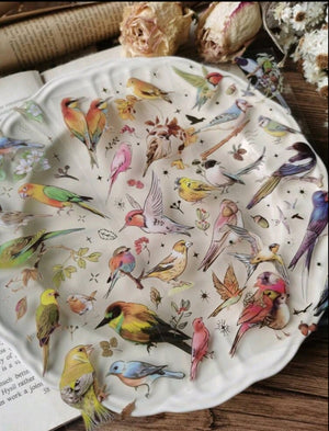 Pattern Stickers Birds 20pcs