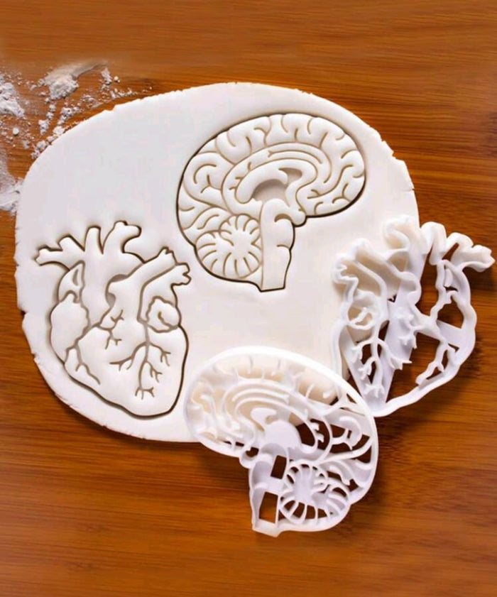 Plastic Cookie Cutter Organ Heart and Brain