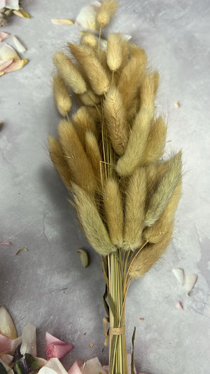 30pc Beige Bunny Tails