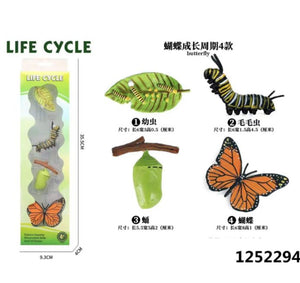 Educational Toy Buttefly Life Cycle