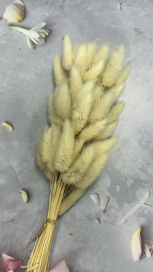 30pc Cream White Bunny Tails