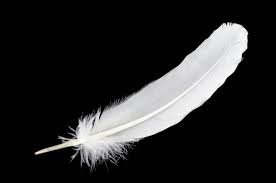 White Feathers 10pcs