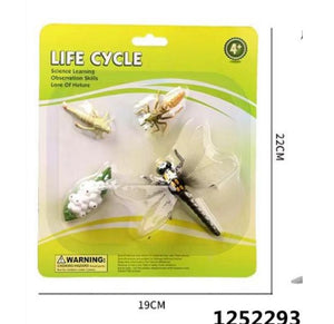 Educational Toy Dragonfly Life Cycle