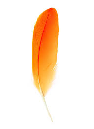 Orange Feathers